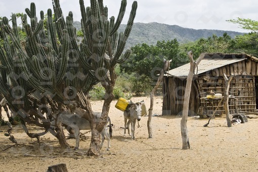 Ranchería típica de la Guajira / Typical House,Guajira