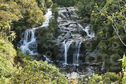 Cascada del Matasano,Concepción,La Concha,Antioquia / Matasano Waterfall, Concepción, La Concha, Ant