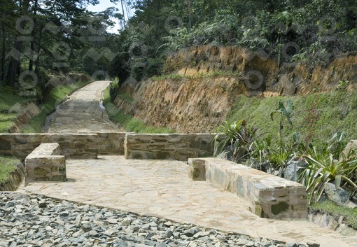 Sendero Ancestral,Parque Arví,Santa Elena,Antioquia / Ancestral Path, Park Arví,Santa Elena,Antioqui