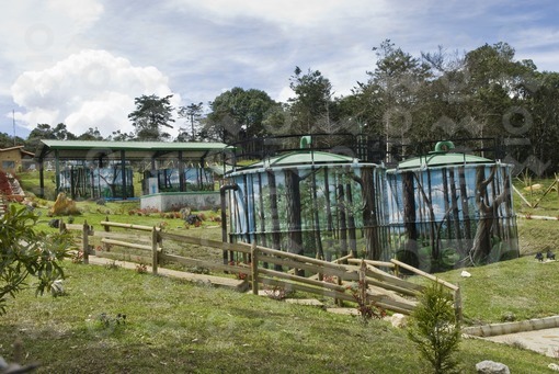 Acueducto,Parque Arví,Santa Elena,Antioquia / Aqueduct, Park Arví,Santa Elena,Antioquia