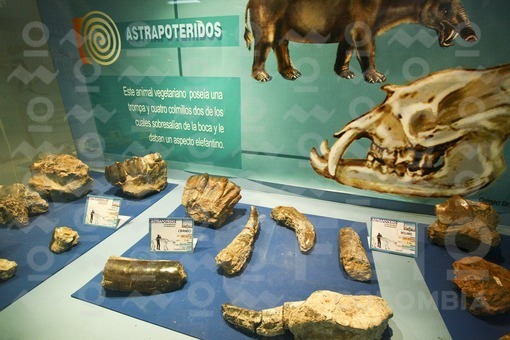 Museo Paleontológico,Villavieja,Desierto de la Tatacoa,Huila / Paleontological museum,Villavieja,desert of Tatacoa,Huila
