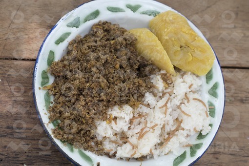 Picillo de chiguiro con arroz y plátano,Arauca / Pisillo de chiguiro with rice and banana,Arauca