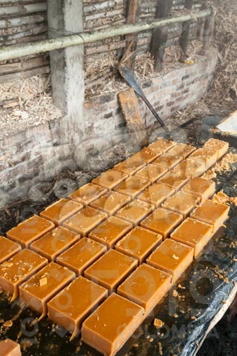 Fabricación de panela,Isnos,Huila / Manufacture of sugarcane,Isnos,Huila