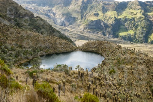 Laguna,Parque Nacional Natural Los Nevados,Murillo,Tolima / Lagoon,Los Nevados National Natural Park,Murillo,Tolima