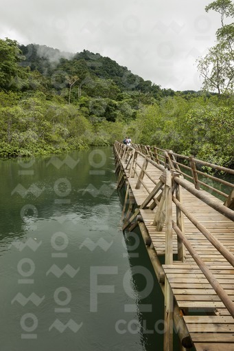 Sendero Manglares Estero Grande,Parque Nacional Natural Utría,Chocó / Mangrove Trail Estero Grande,Utria National Park,Choco