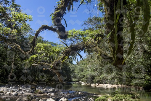 Quebrada la Cristalina en Mocoa,Putumayo / La Cristalina creek in Mocoa,Putumayo