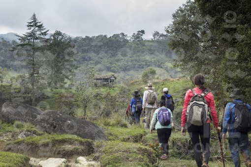 exploradores caminantes