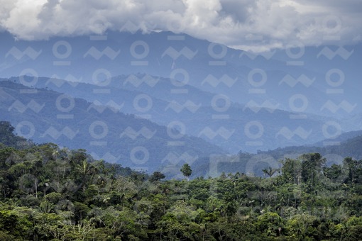 verdeyaco Cauca