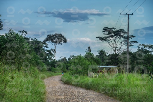 carretera rural  Putumayo