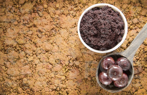 Polvo y fruta de acai (Euterpe oleracea)