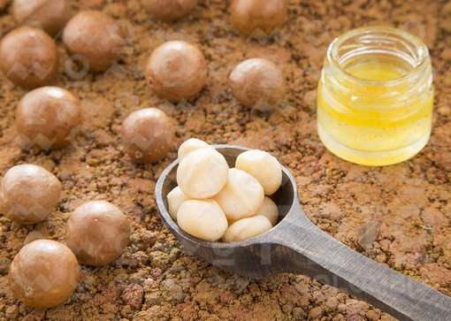 Aceite y nueces de macadamia (Macadamia integrifolia)