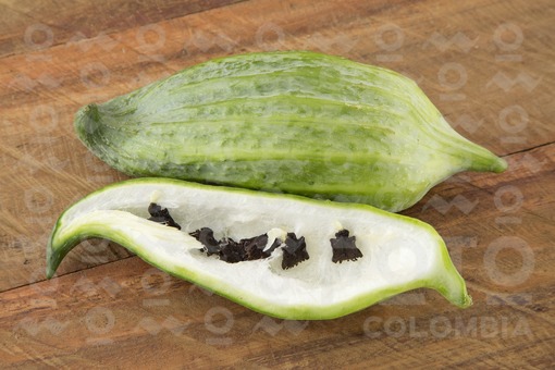Caigua o pepino de relleno (Cyclanthera pedata)