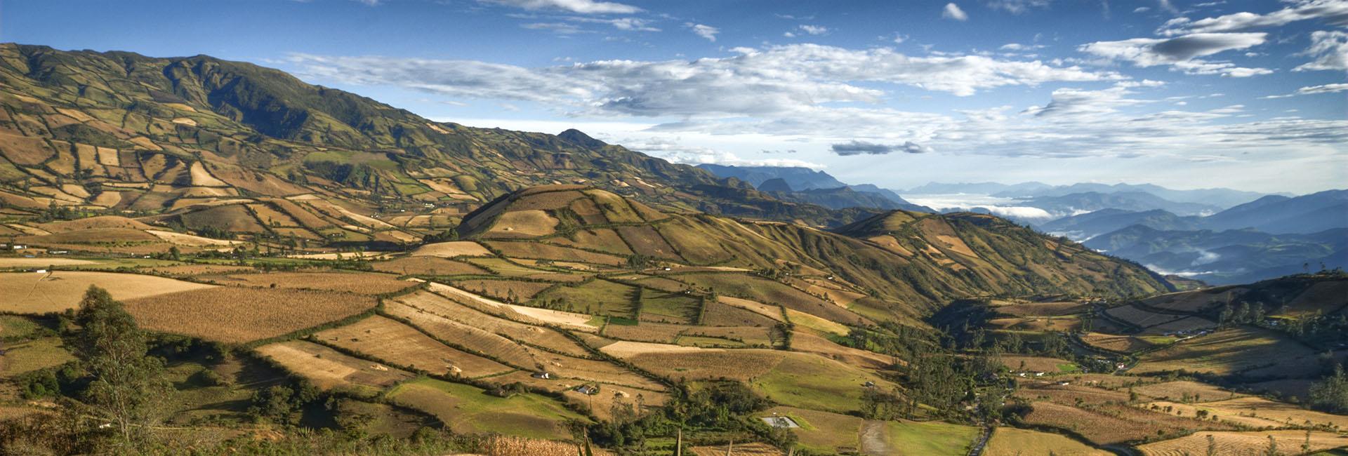 Banco de Imágenes de Colombia y América