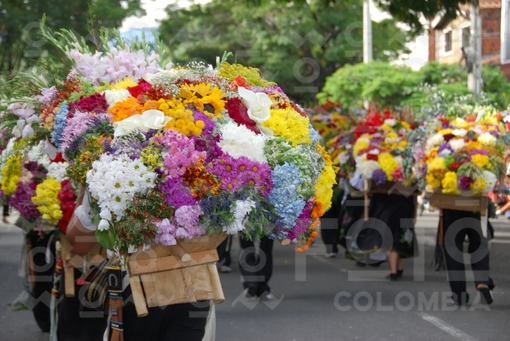 Desfile de Silleteros