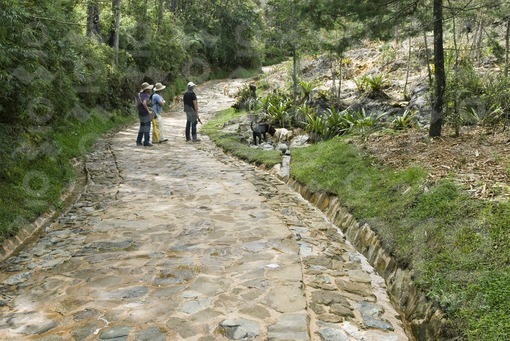 Sendero Ancestral,Parque Arví,Santa Elena,Antioquia / Ancestral Path, Park Arví,Santa Elena,Antioqui
