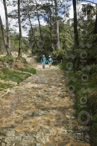 Sendero Ancestral,Parque Arví,Santa Elena,Antioquia / Ancestral Path, Park Arví,Santa Elena,Antioqui