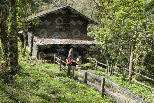 Refugio Reserva Acaime,Salento,Quindío / Acaime Reserve Shelter, Salento, Quindío