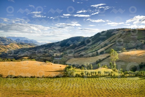 Region de Guaitarilla,Nariño