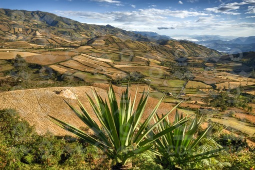 Region de Guaitarilla,Nariño