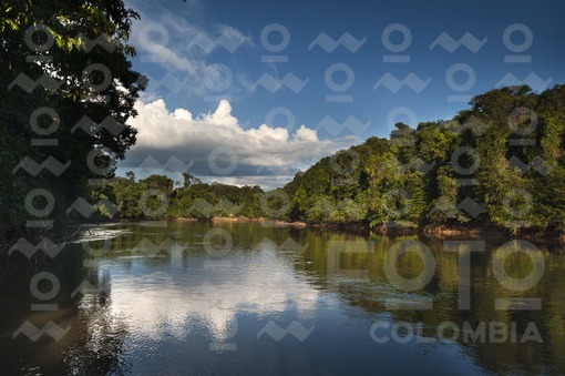 Paisaje Río Amazonas / Amazon River Landscape
