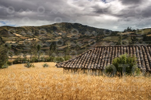 Paisaje,Nariño / Landscape,Nariño