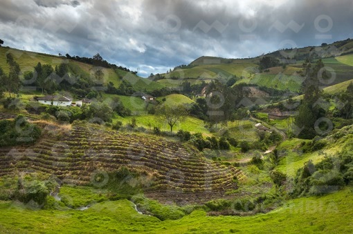 Paisaje,Nariño / Landscape,Nariño
