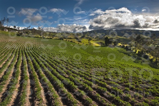 Paisaje,Nariño / Landscape,Nariño