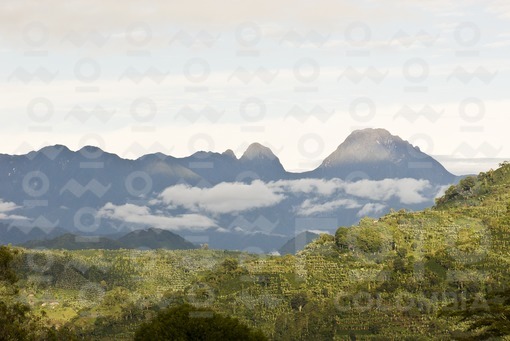 Farallones del Citara,Antioquia / Citara Cliifs,Antioquia
