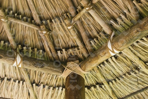 Techo de palma,Córdoba / Palm Roof,Cordoba