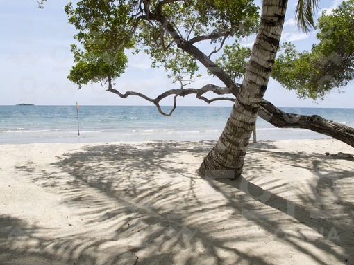 Playa en Punta Seca,Sucre / Beach,Punta Seca,Sucre