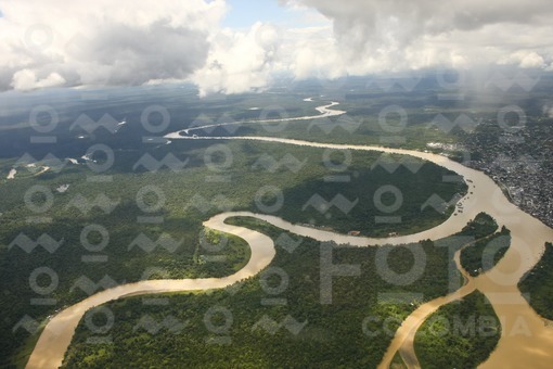 Selva Tropical, Nuquí,Chocó / Rain forest,Nuqui,Choco