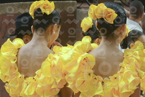 Niñas con traje típico, Los Llanos Orientales / Girls with costume,The Eastern Plains