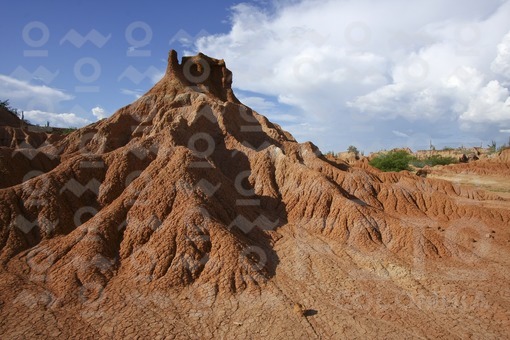El Cuzco,Desierto de la Tatacoa,Huila / El Cuzco,Desert of Tatacoa,Huila