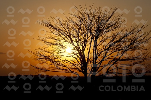 Atardecer en los llanos orientales,Arauca / Sunset in the eastern plains,Arauca