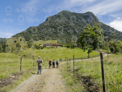 Cerro Bravo,Fredonia,Antioquia / Bravo Hill,Fredonia,Antioquia