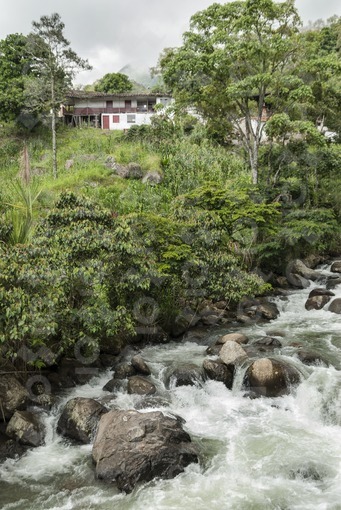 Río Frío,Támesis,Antioquia / Frio river,Támesis,Antioquia