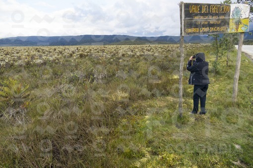 Valle de Frailejón,Paletará,Puracé,Cauca / Frailejón valley,Paletará,Puracé,Cauca