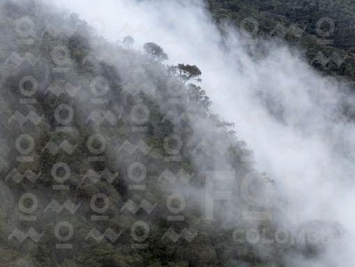 Páramo de Sonsón,Antioquia / Paramo of Sonsón,Antioquia