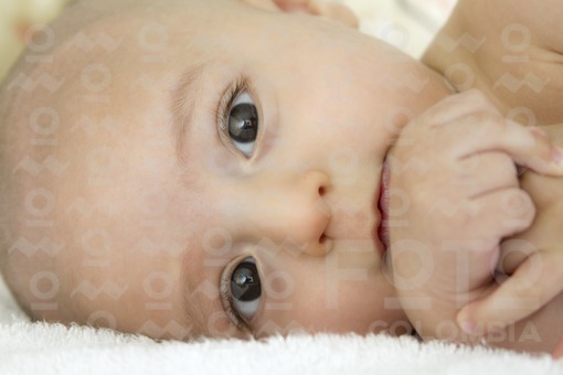 Bebe / Baby boy