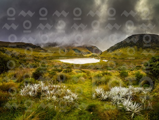 Laguna Negra