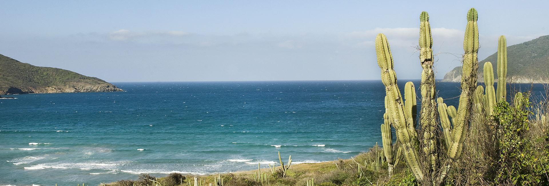 Banco de Imágenes de Colombia y América